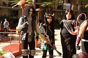 IMG_0505 
