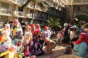 IMG_0968 