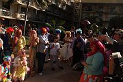 IMG_0981 