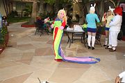 IMG_1493 