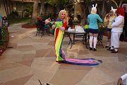 IMG_1494 