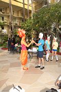 IMG_1505 
