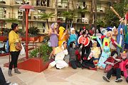 IMG_1586 