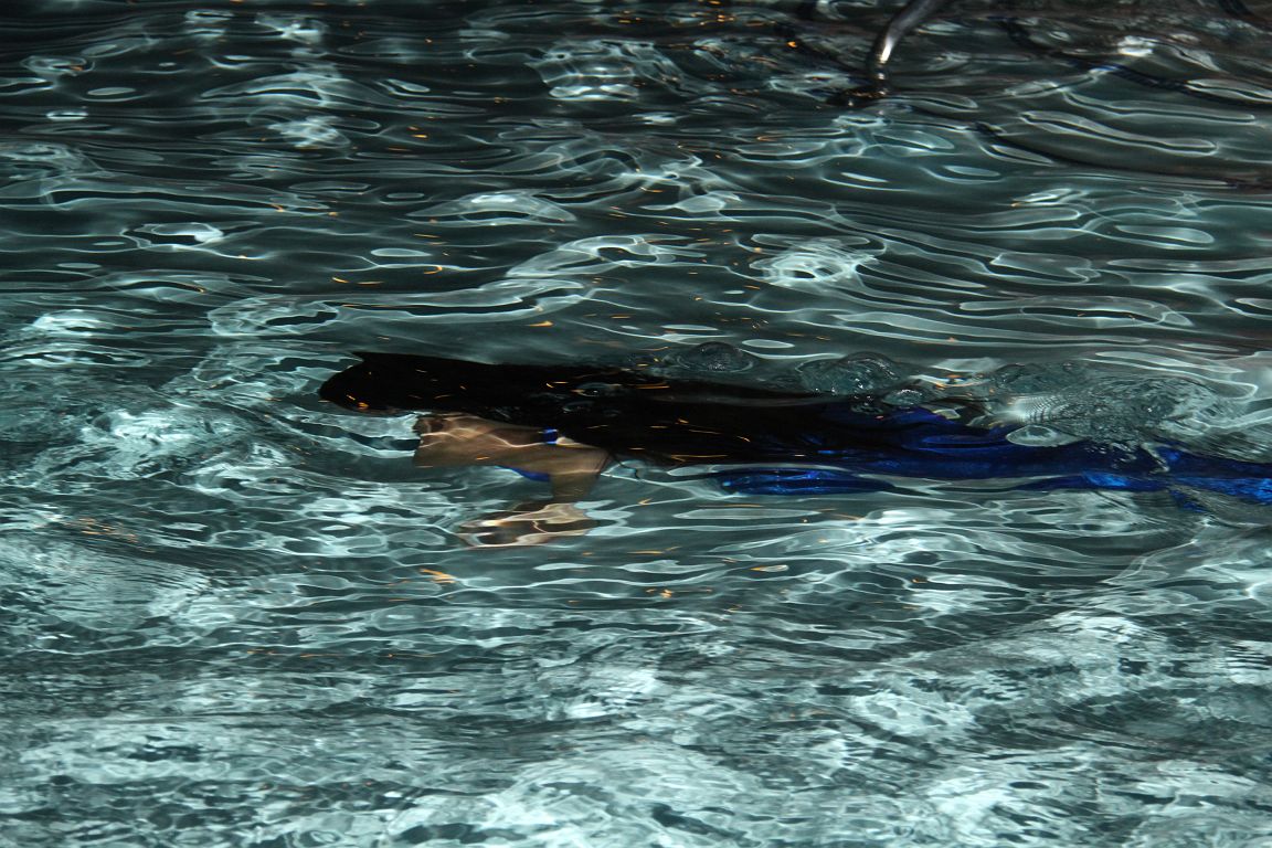 IMG_2281