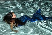 IMG_2279 