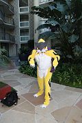 IMG_2397 