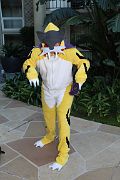 IMG_2402 