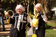 IMG_2907 