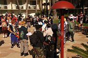 IMG_3036 