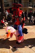 IMG_3082 