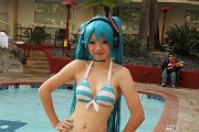 IMG_3309 