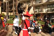 IMG_3336 