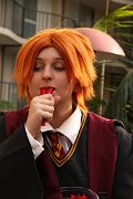 IMG_3466 