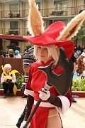 IMG_3528 