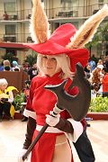 IMG_3529 