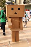 IMG_3541 