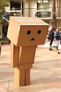 IMG_3543 