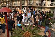 IMG_3695 