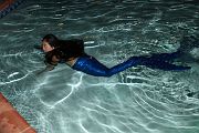 IMG_4159 