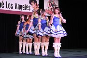 IMG_6331 
