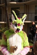 IMG_7162 