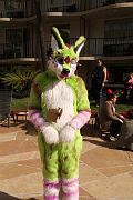 IMG_7163 