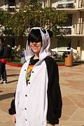 IMG_7168 