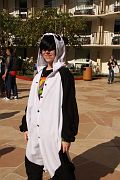 IMG_7169 