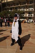 IMG_7170 