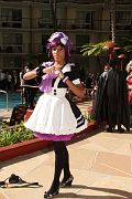 IMG_7291 
