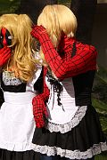 IMG_7318 