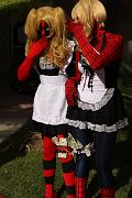 IMG_7319 