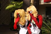 IMG_7333 