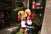 IMG_7336 