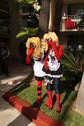 IMG_7337 