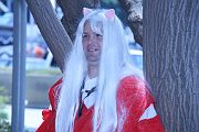 IMG_0233 