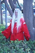 IMG_0236 