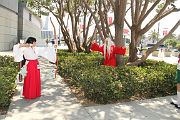 IMG_0242 