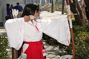 IMG_0245 