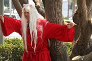 IMG_0246 