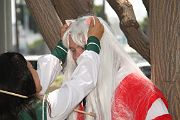 IMG_0274 