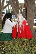 IMG_0291 