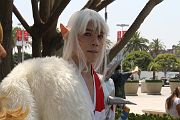 IMG_0375 