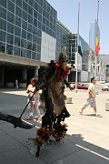 IMG_0714 