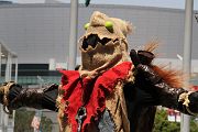 IMG_0726 