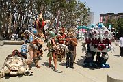 IMG_0848 