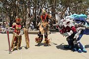 IMG_0910 