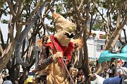 IMG_0920 