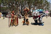 IMG_0922 