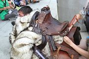 IMG_0924 